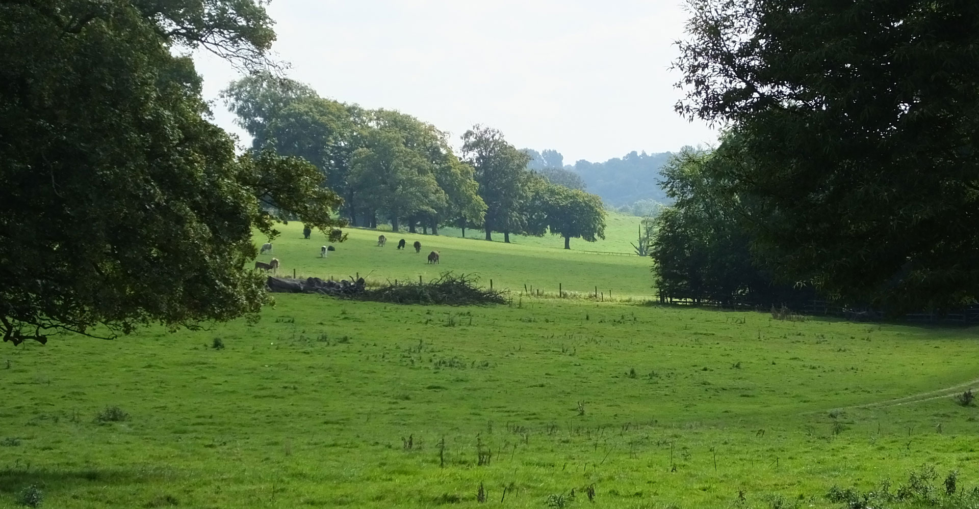 G & B Dobson Ltd commercialgreenwastelincolnshire